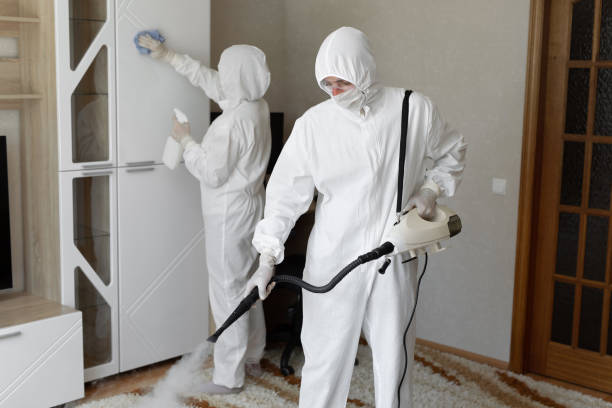 Best Affordable Mold Removal  in Jamestown, OH