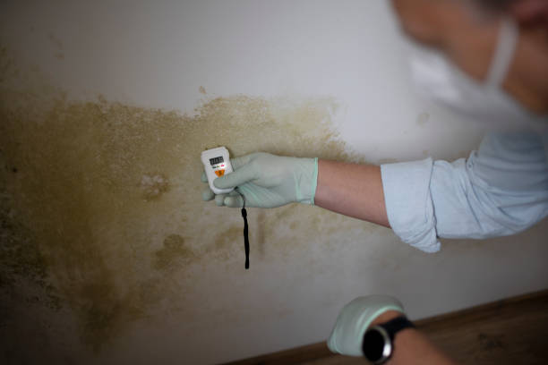 Best Mold Testing  in Jamestown, OH